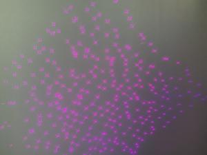 Laserstrahlen pink